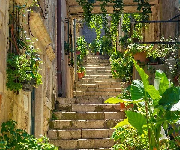 Old Town House With Floor Heating & Lush Private Garden Dom wakacyjny *
