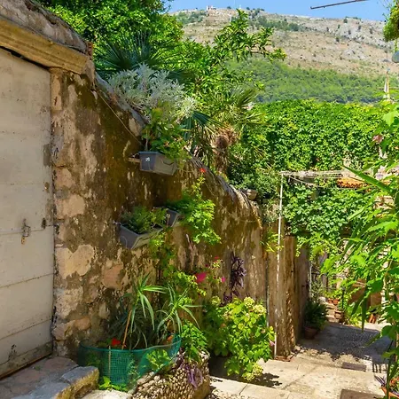 Old Town House With Floor Heating & Lush Private Garden