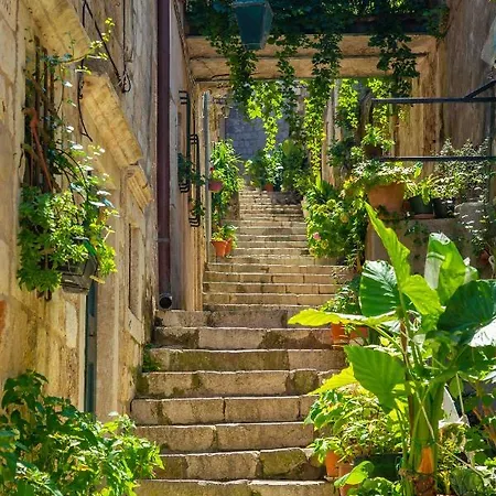 Old Town House With Floor Heating & Lush Private Garden Hébergement de vacances *