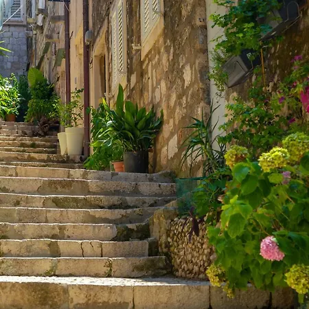 Old Town House With Floor Heating & Lush Private Garden *