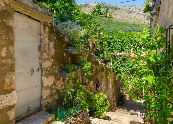 Old Town House With Floor Heating & Lush Private Garden
